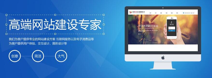 花海漫步，上海后花园邀您共赴花博会